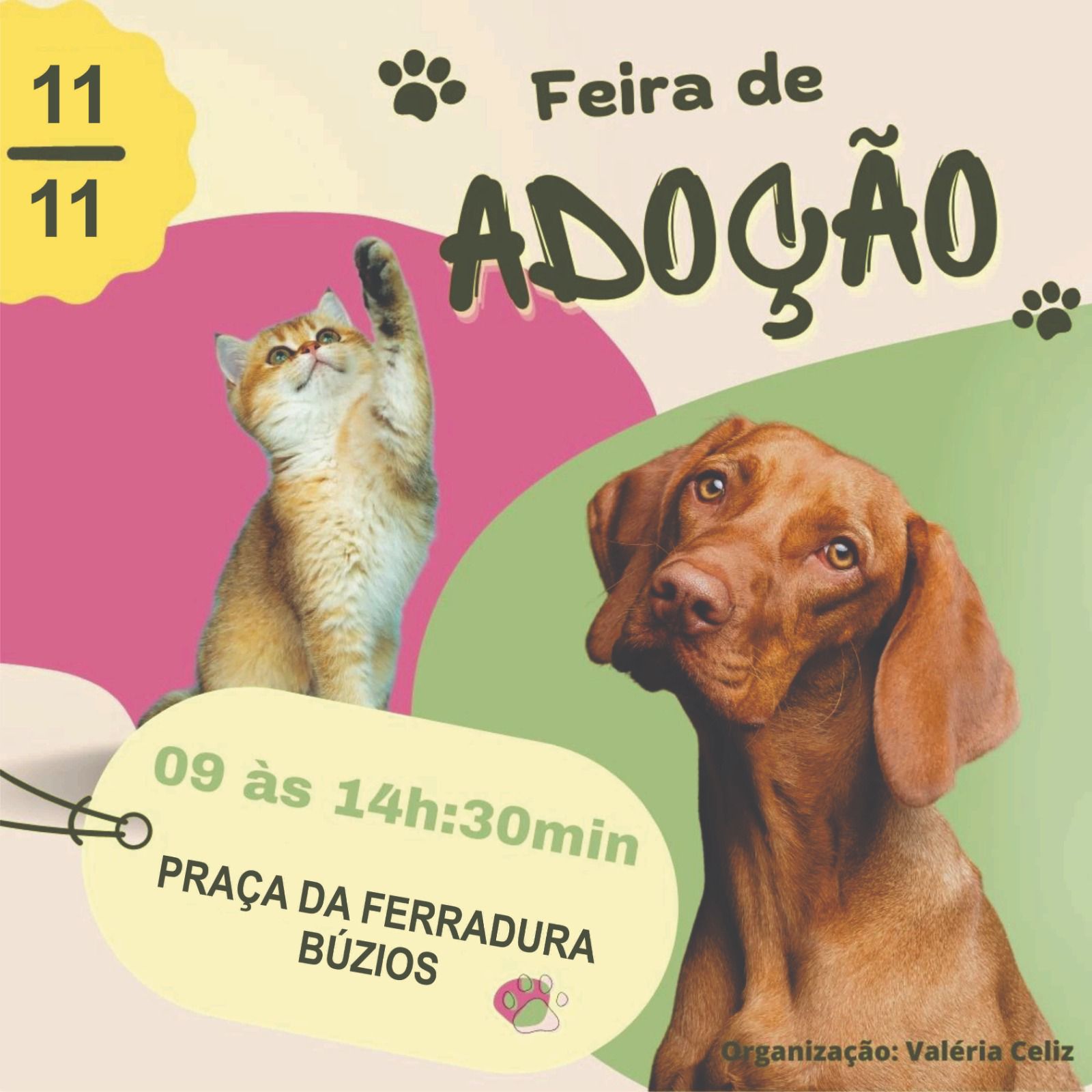 Búzios realiza feira de adoção na Praça Dona Dita neste sábado