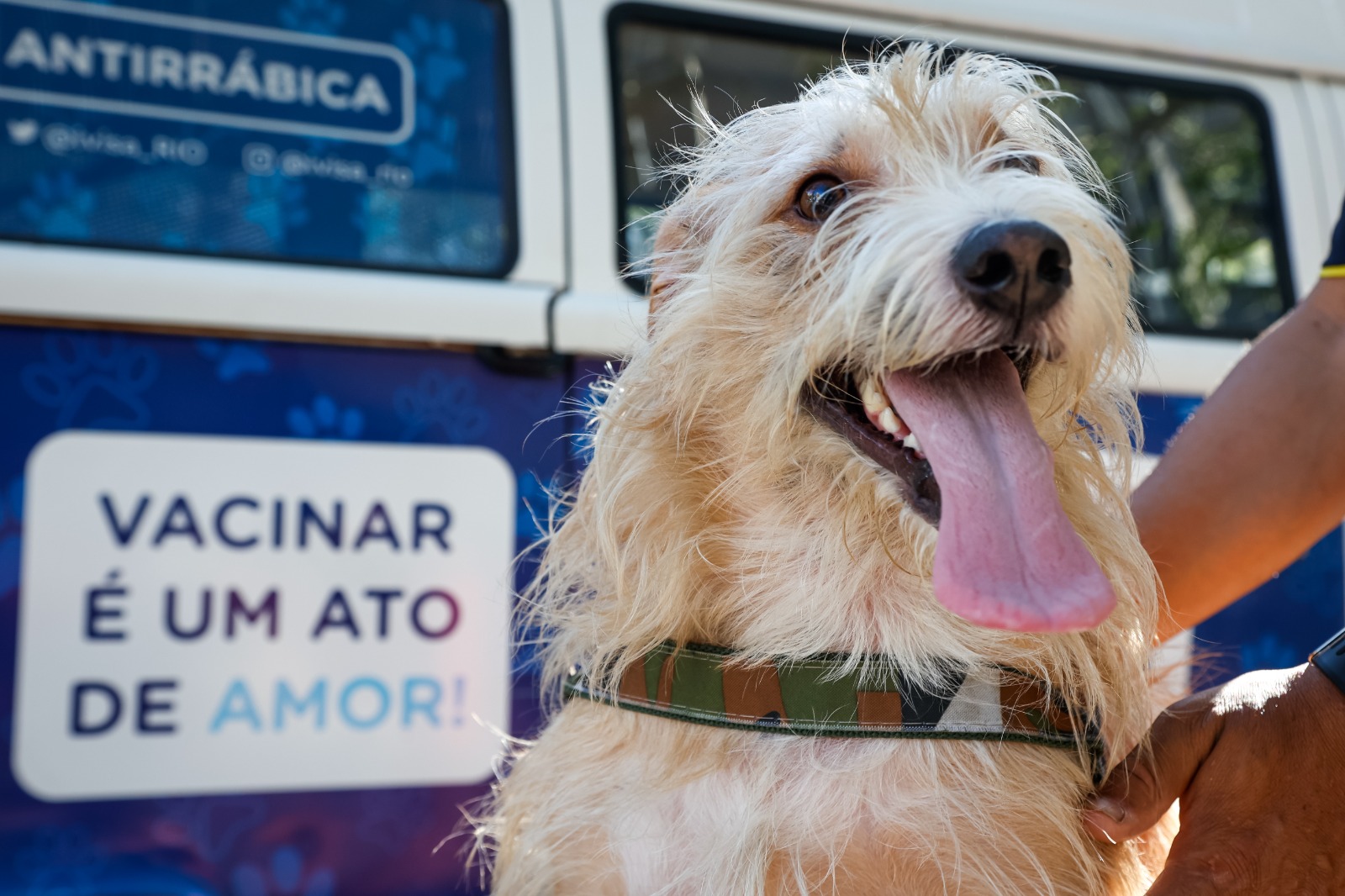 Município vai concluir a campanha antirrábica na próxima semana - Prefeitura da Cidade do Rio de Janeiro