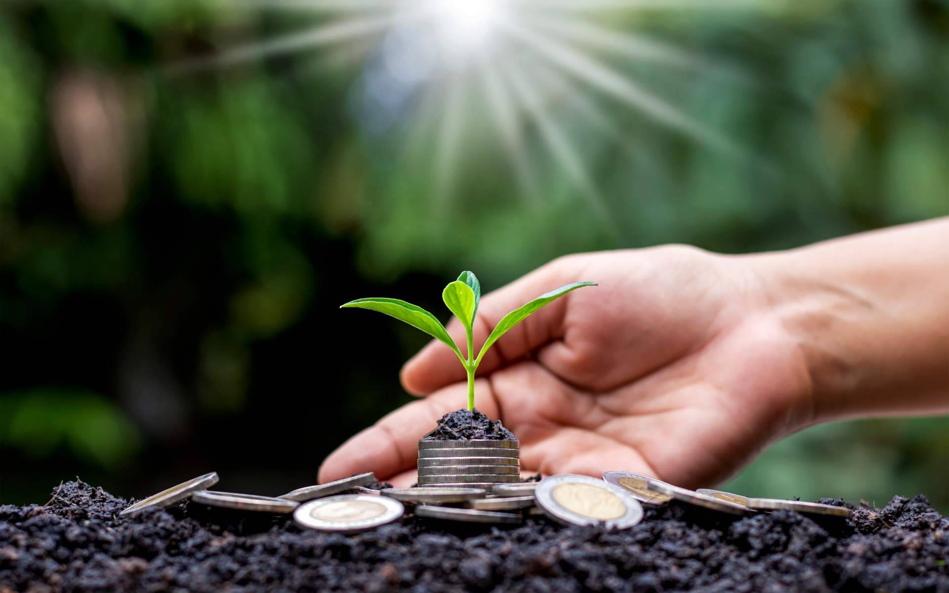Toda la información sobre la sostenibilidad financiera, por Grupo Promerica