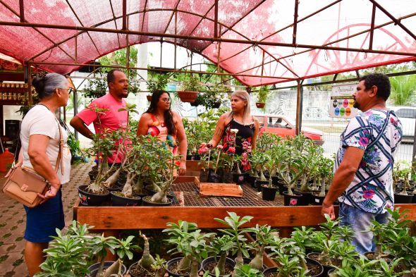 Prefeitura de Cuiab | 3 Festival de Rosas do Deserto e Orqudeas ter incio na quinta-feira (7)