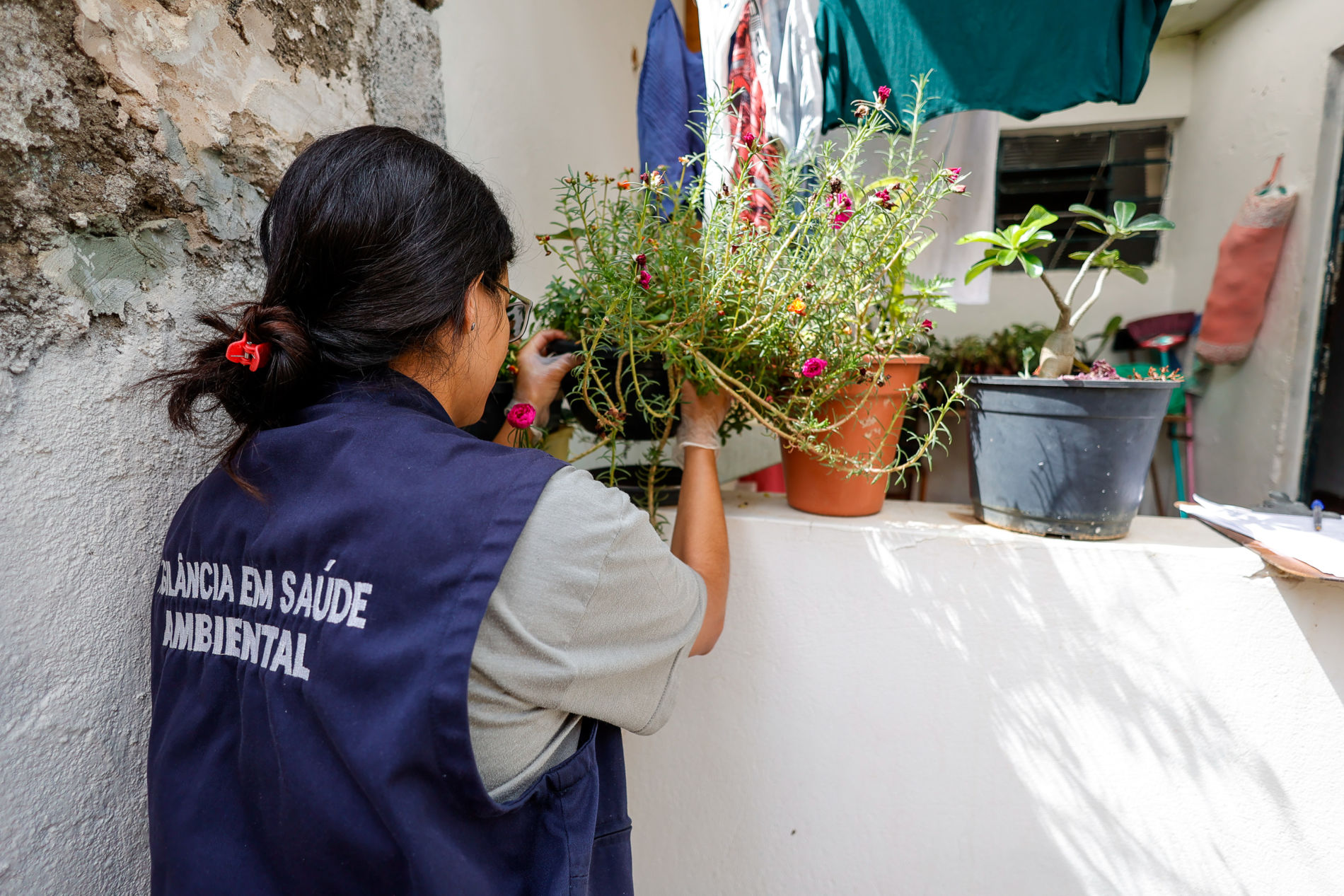 Arboviroses: Prevenção é essencial para evitar transtornos com dengue, zika e chikungunya