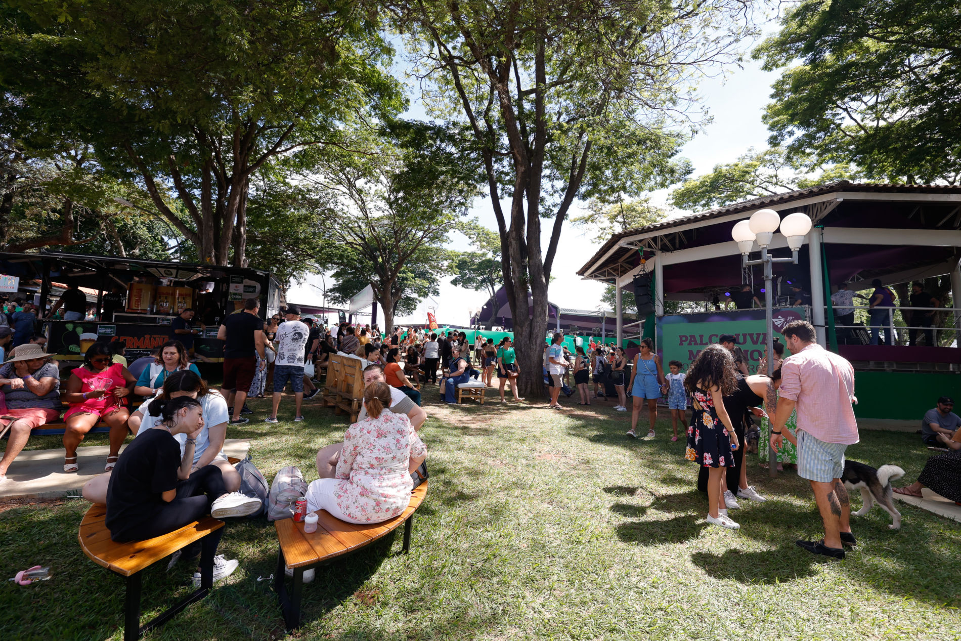 Festa da Uva chega ao último final de semana com samba, carnaval e gastronomia